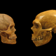Illustration for article titled Having Neanderthal DNA Linked to Depression and Nicotine Addiction
